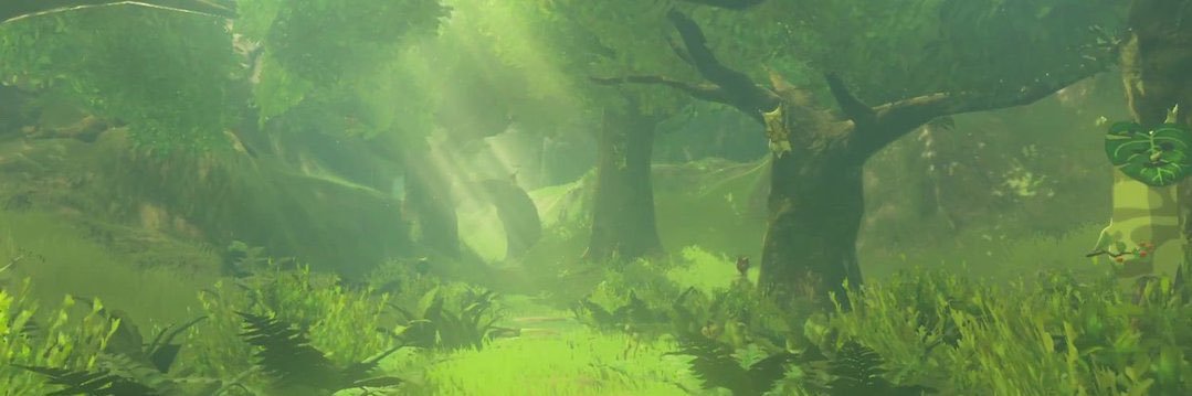 ClareBehrmann's profile banner image