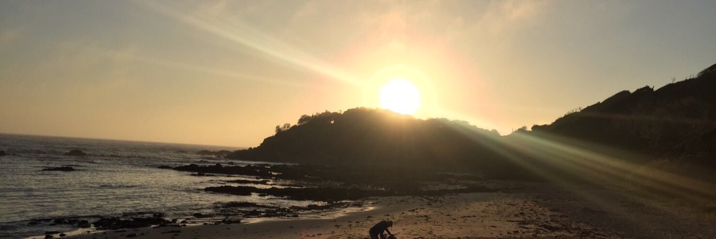 矢後大地@タッチラグビー選手 banner