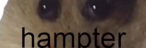 hampter banner