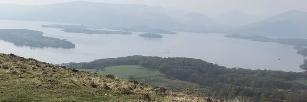 Leeannemacklin Profile Banner