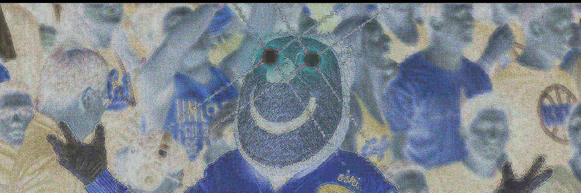 Sidelines - California🏴‍☠️ banner