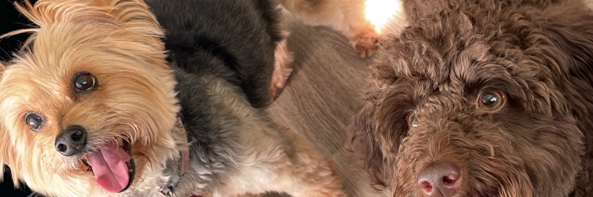itsjasminemai's profile banner image