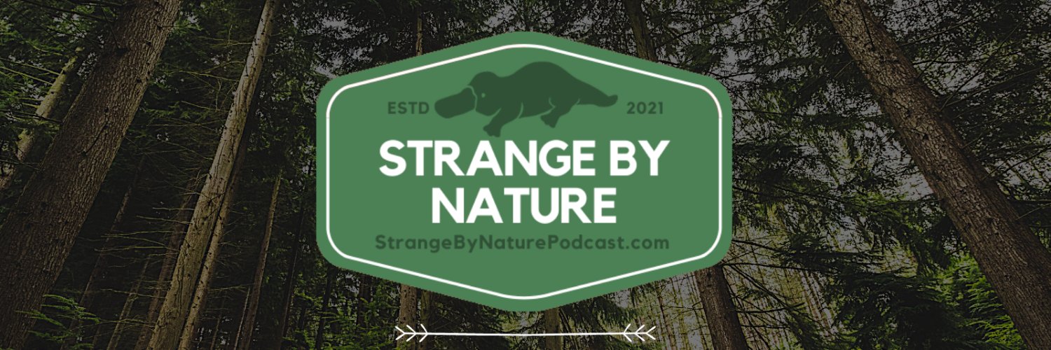 Strange by Nature Podcast Profile Banner