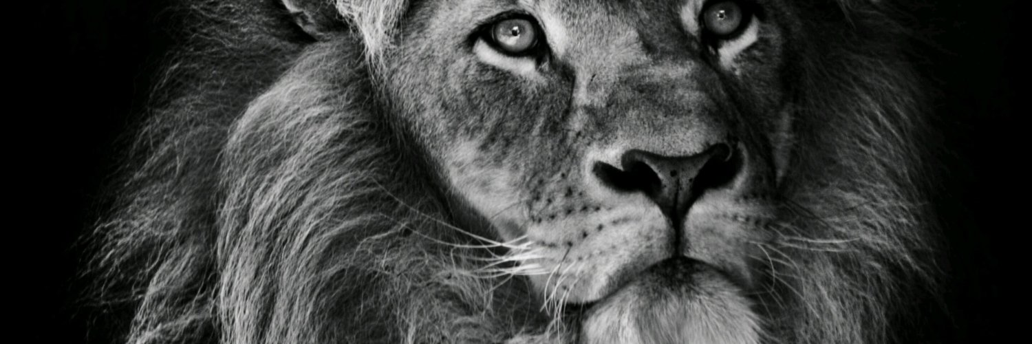 Adam88716469's profile banner image