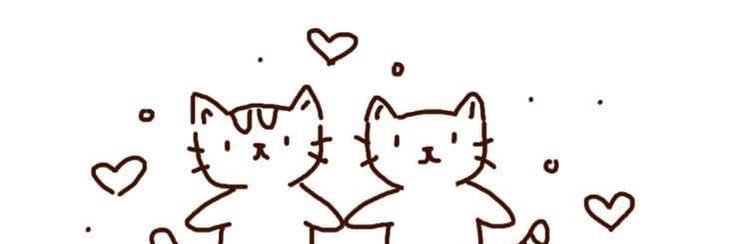 beckie banner