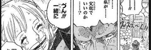 かずのこ丸🐺🌱 banner