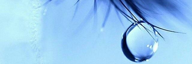 Denzel Gitonga banner