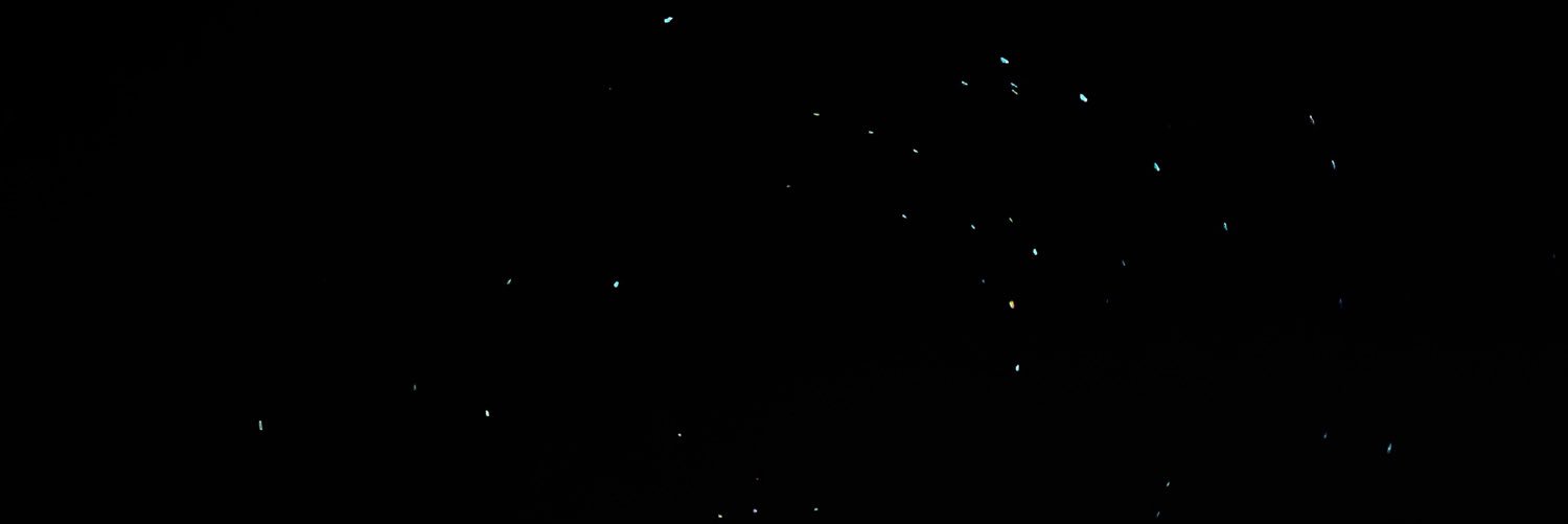 alissadlpp's profile banner image