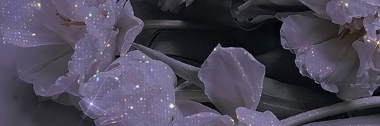 Ciel banner