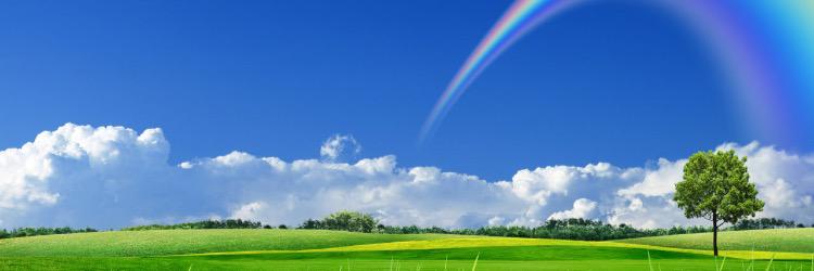 petitegg's profile banner image
