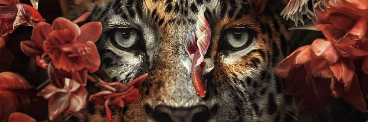 fosher_shaelee's profile banner image