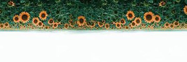 RunwayCrimes Profile Banner