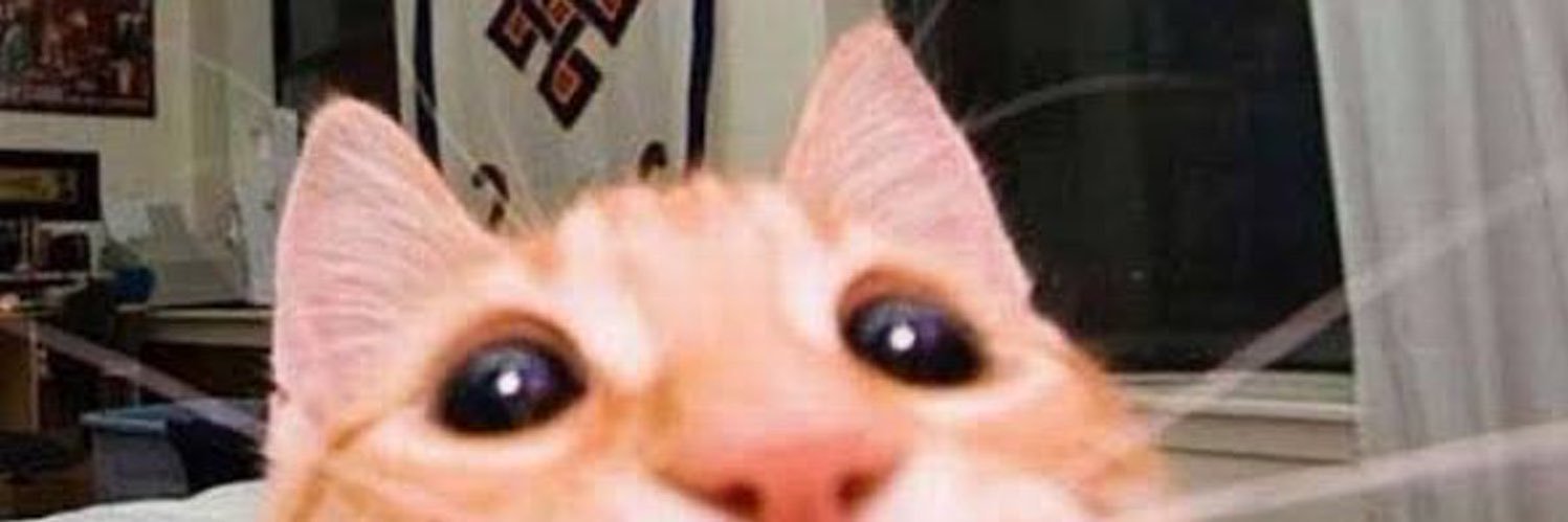 rainaldiarchie's profile banner image