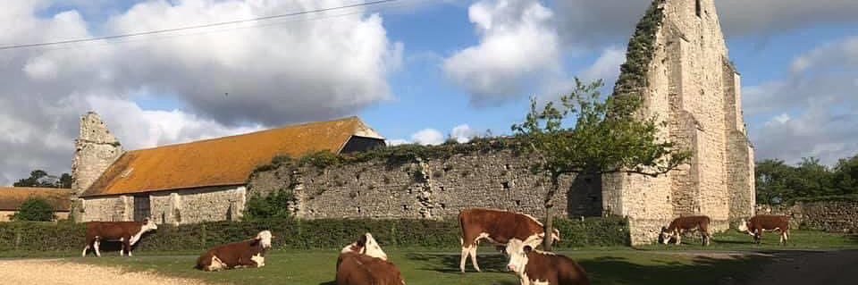 NF Young Commoners banner