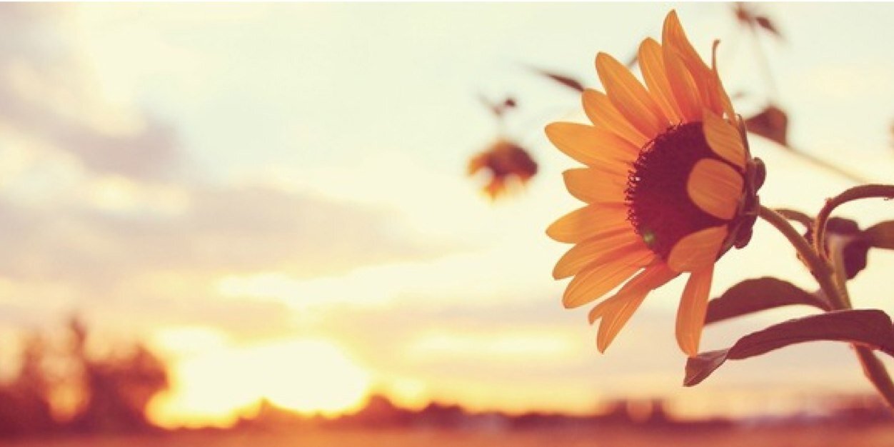 LifeInAnLDR's profile banner image
