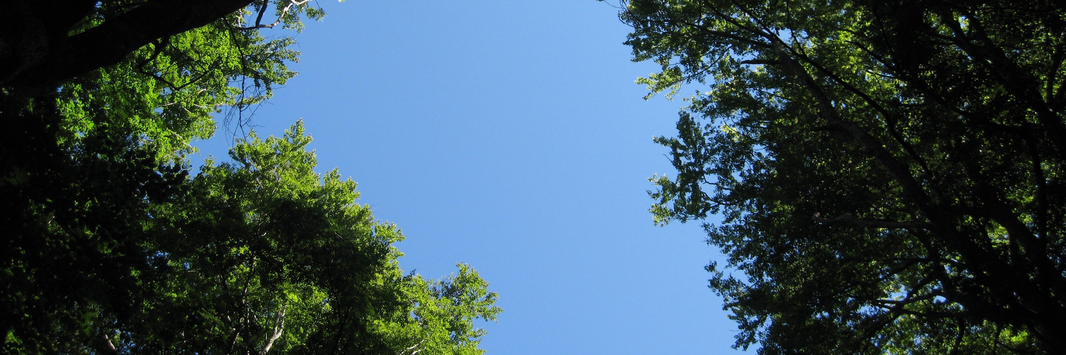 Vigilio's profile banner image