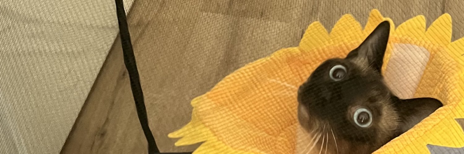 Maria_meyers's profile banner image