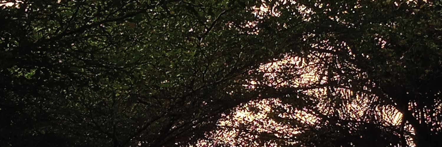 aiffze's profile banner image