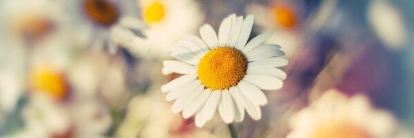 liseth103's profile banner image