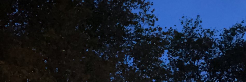 wviii8's profile banner image