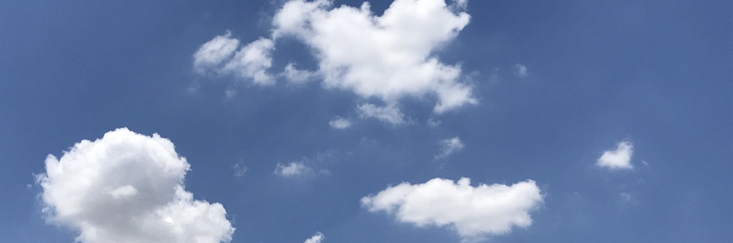 RAintheAZ🌵☀️ banner