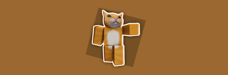sash0ken's profile banner image