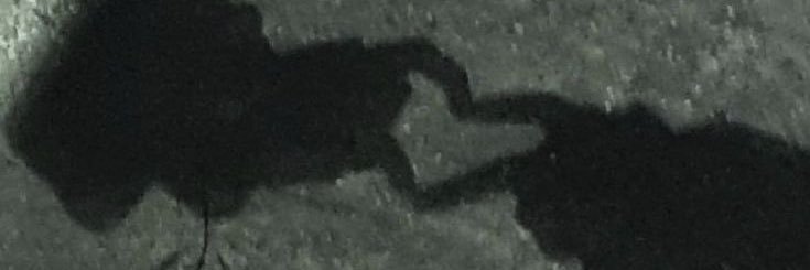 mindyisnothere's profile banner image