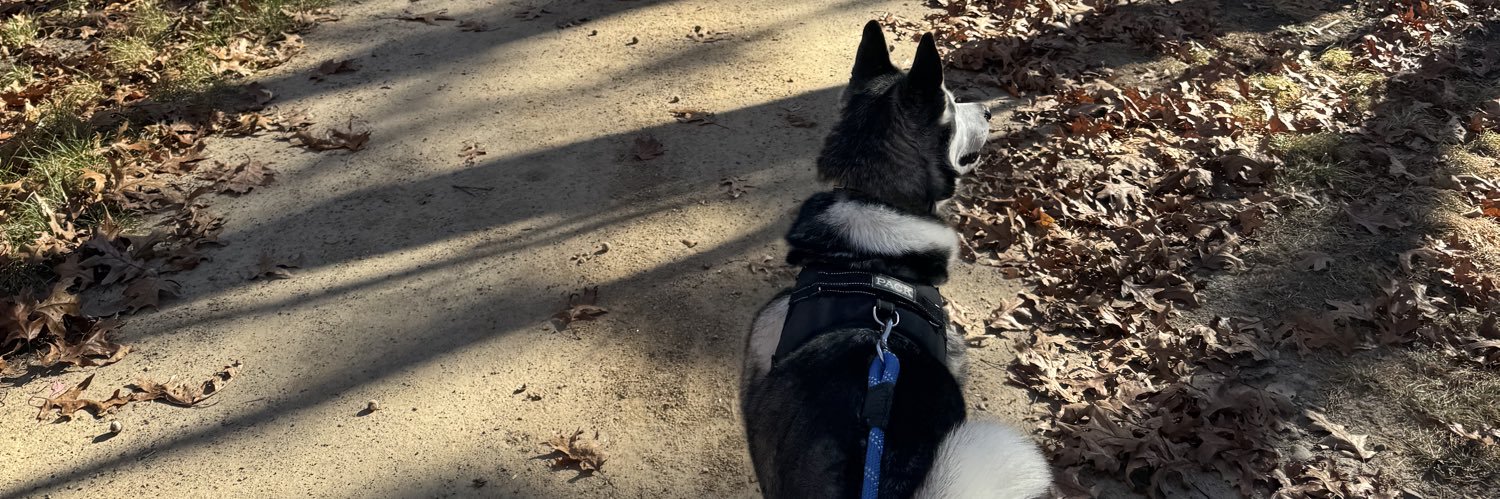 lexi_tl's profile banner image