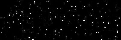 Ari. K. banner