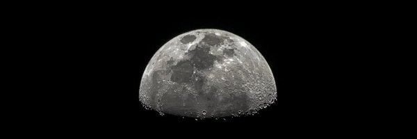 phresh_arrow Profile Banner