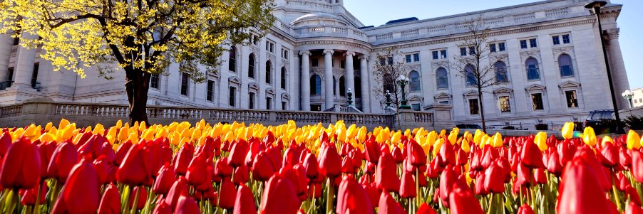 Jill Billings banner