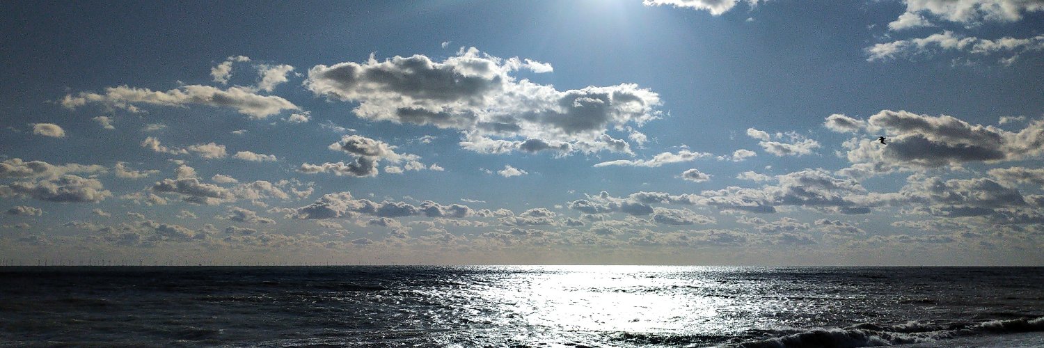 Clean Air for Brighton & Hove banner