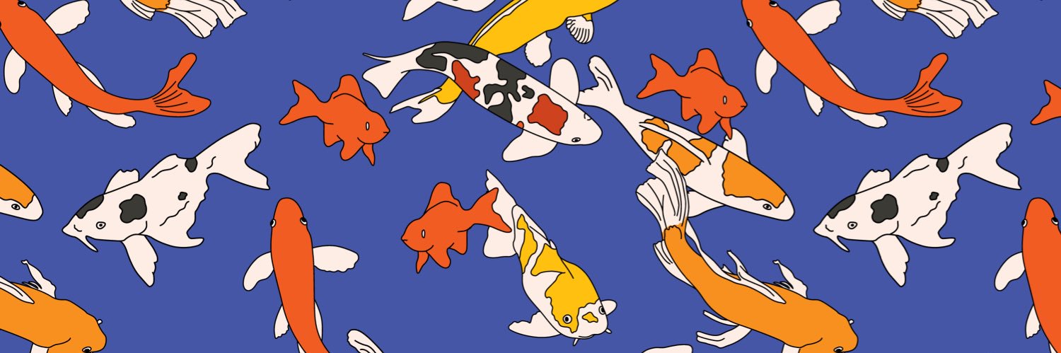 meghxnb's profile banner image