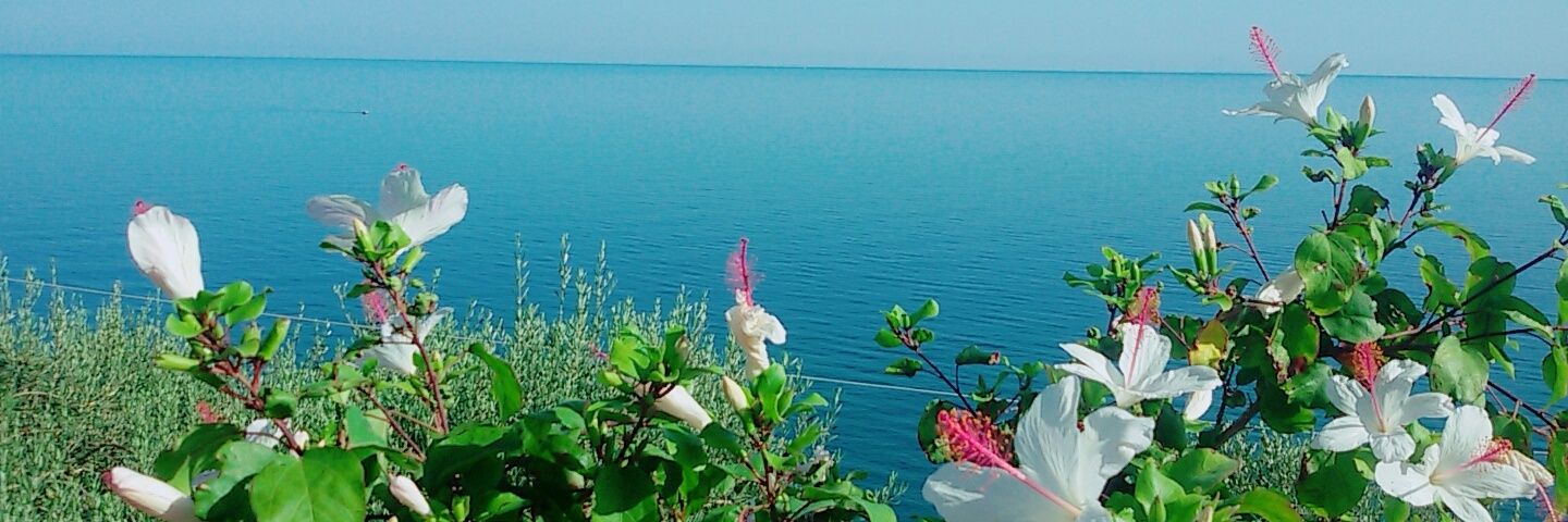 luisa6277's profile banner image