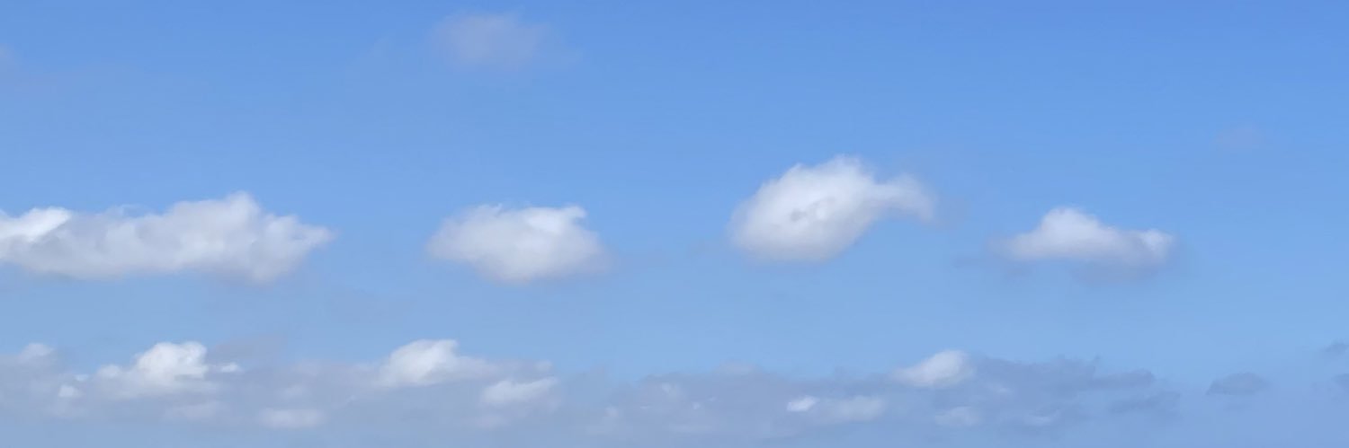 leonissmiling's profile banner image