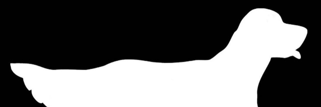 Wolf64879591's profile banner image