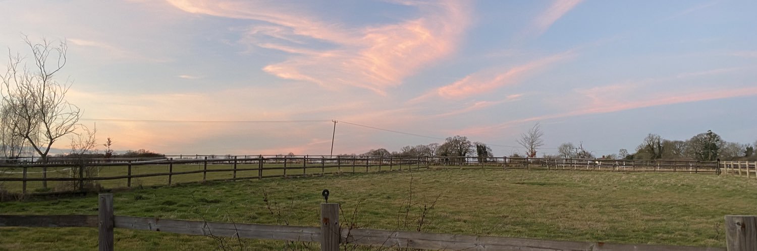 Saira Hamilton banner