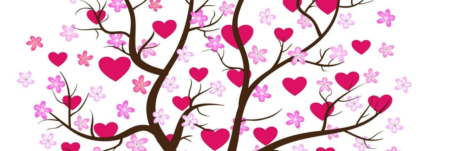 BioSanas's profile banner image