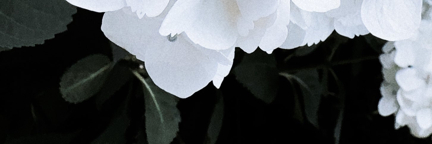 ᴛᴇʀᴜ🌨️ banner