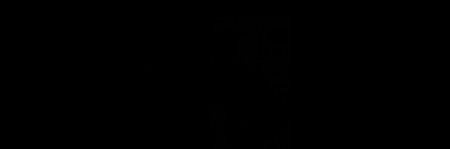 abu tariq banner