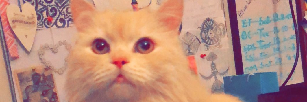daniahmedd's profile banner image