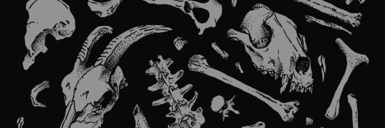 gh0ulishx's profile banner image