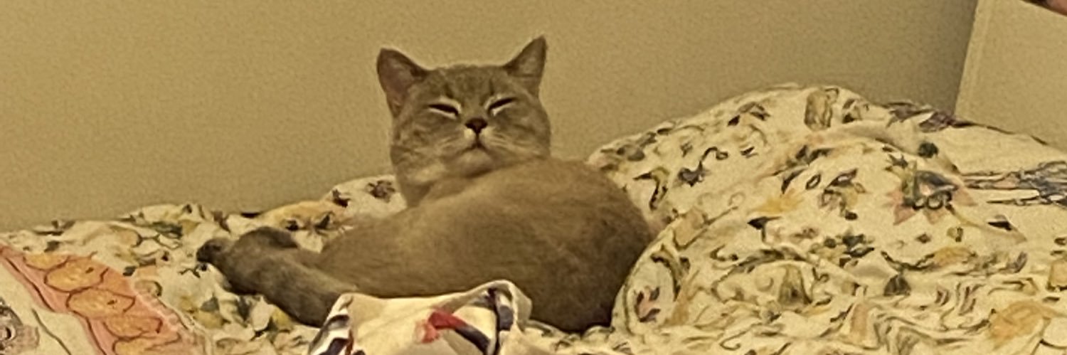 parmesan💜🧷| I exist for Himeko banner