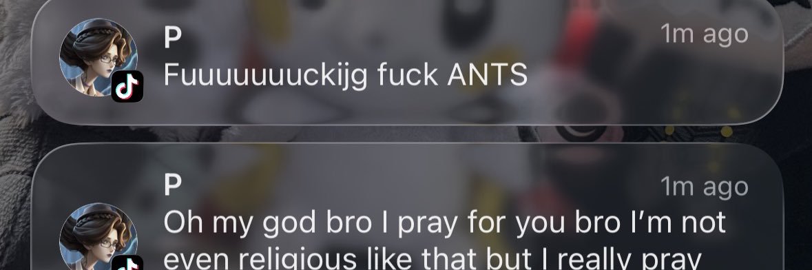 soup fan i love soup banner