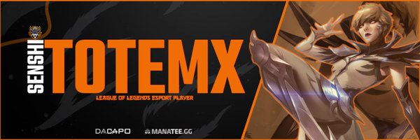 Totemx_lol Profile Banner