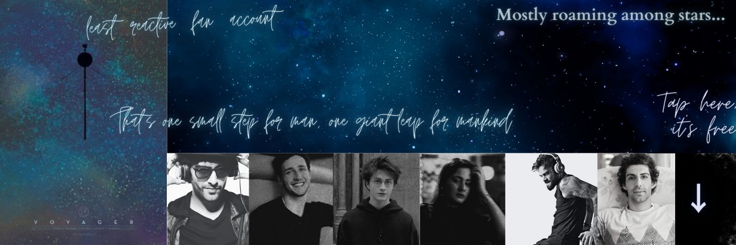 Voyager banner
