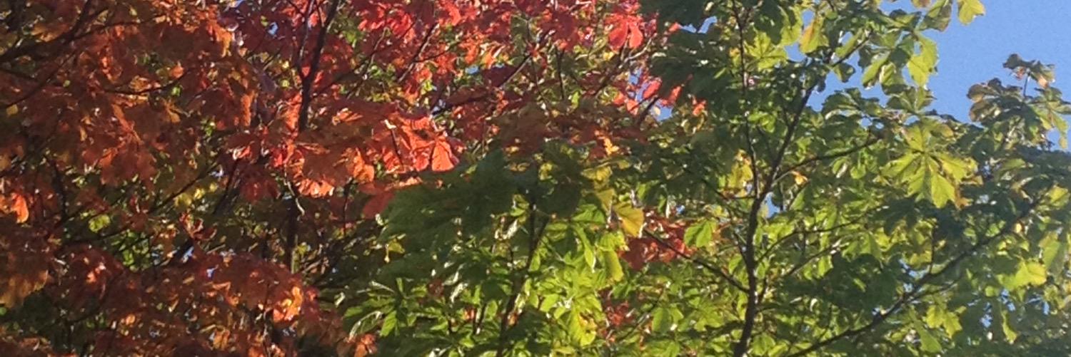 CEphonehome's profile banner image