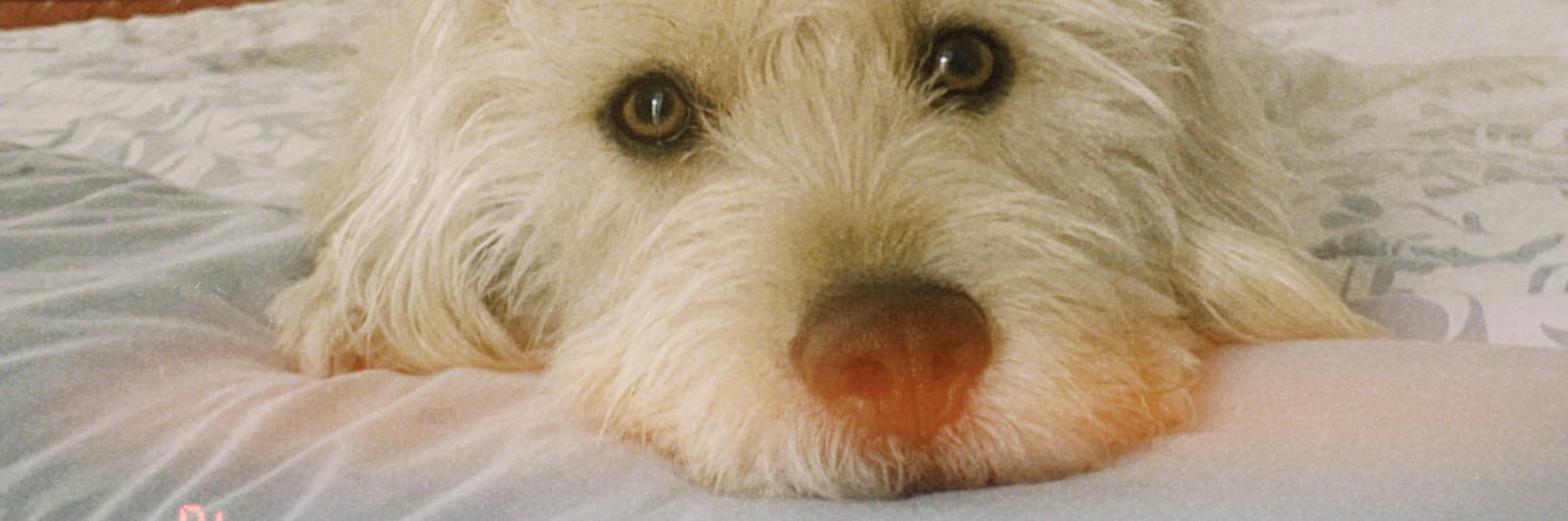 bebelmiranda_'s profile banner image