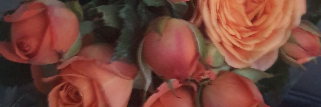 بدون شکر افزوده banner