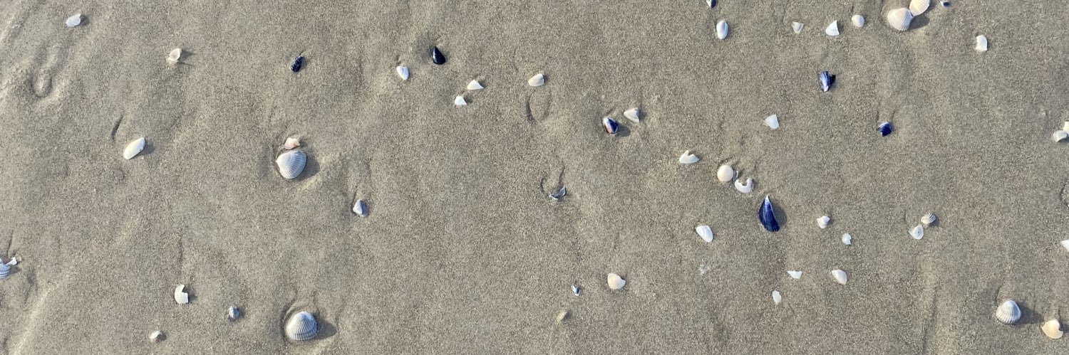 cam*໑̣🐞 banner